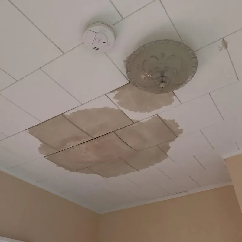 Ceiling Water Damage Repair in Wadena, MN