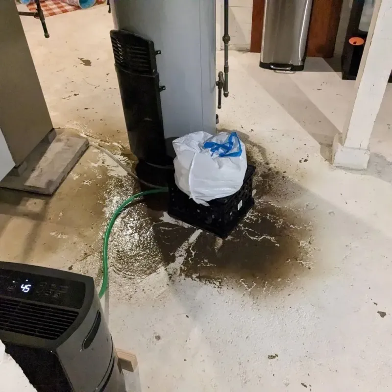 Sewage Backup Cleanup Service in Wadena, MN